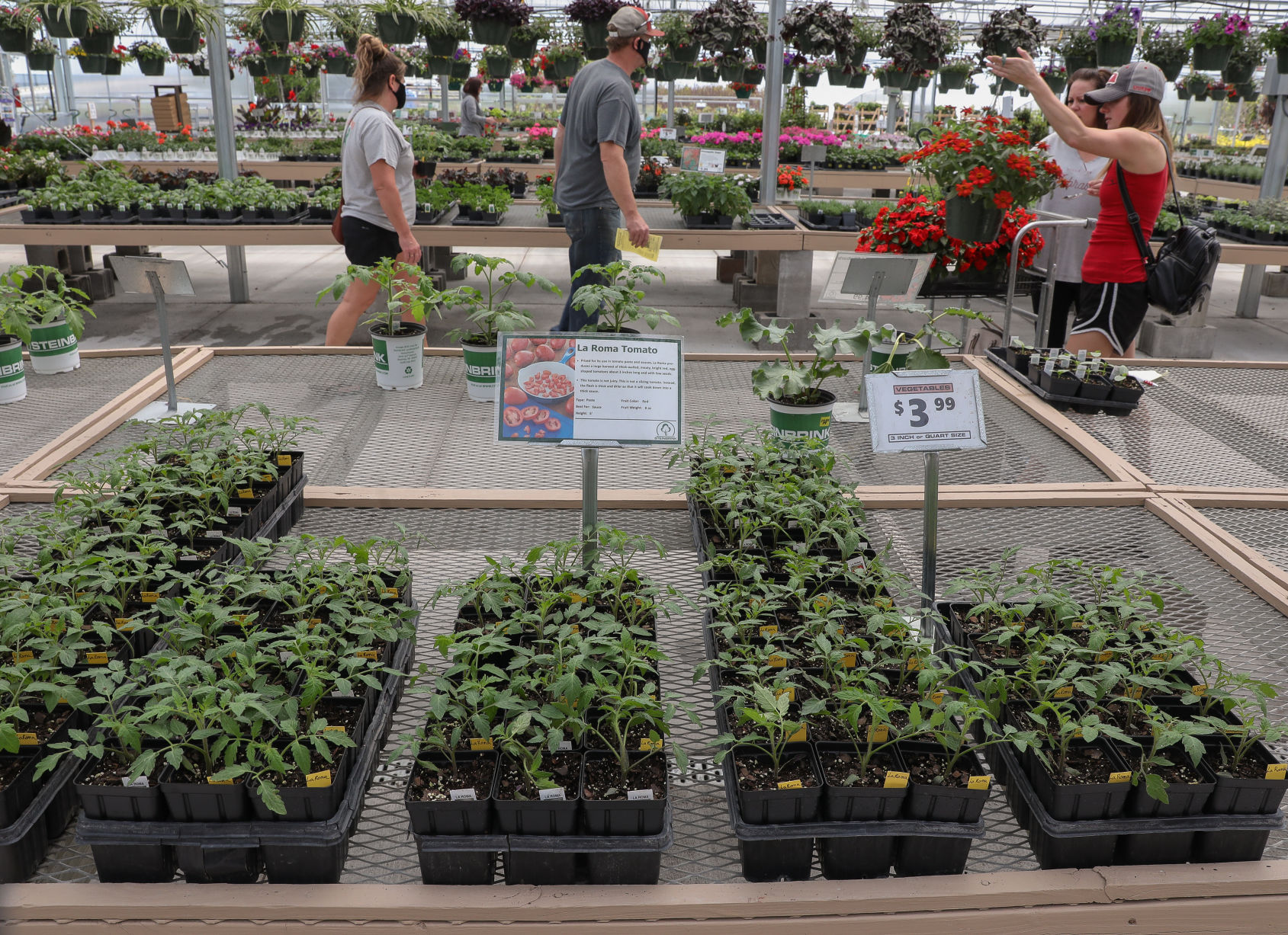 Steinbrink Landscaping & Greenhouses